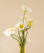 flovers