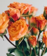 flovers